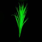 Растение искусственное аквариумное, светящееся, 30 см, зелёное - Фото 4
