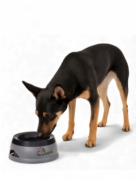 Миска-непроливайка для животных, с дополнительной вставкой от расплёскивания, 19×8 см, серая