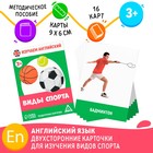 Раздаточные карточки «Изучаем английский. Виды спорта», 3+ - фото 109129267