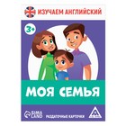 Раздаточные карточки «Изучаем английский. Моя семья», 3+ - Фото 3
