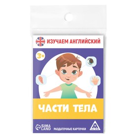 Раздаточные карточки «Изучаем английский. Части тела», 16 карт, 3+ (комплект 2 шт)