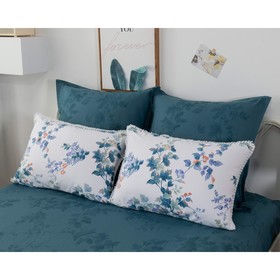 

Комплект с одеялом, размер 200x220 см, 230x250 см, 50x70 см - 2 шт, 70x70 см - 2 шт