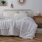 Одеяло «Барри», размер 200х220 см - фото 2185977