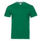 Футболка мужская, размер 50, цвет зелёный - фото 300841076