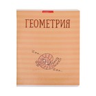 Тетрадь предметная "Котяра", 48 листов в клетку "Геометрия", обложка мелованный картон, глянцевая ламинация, блок офсет - фото 10935887