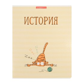 Тетрадь предметная "Котяра", 48 листов в клетку "История", обложка мелованный картон, глянцевая ламинация, блок офсет