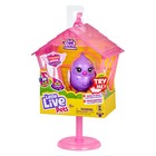 Интерактивная игрушка Птичка в скворечнике «Милашка Глэм» - Фото 2