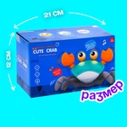 Каталка музыкальная «Краб», свет, звук, цвет бирюзовый - Фото 5