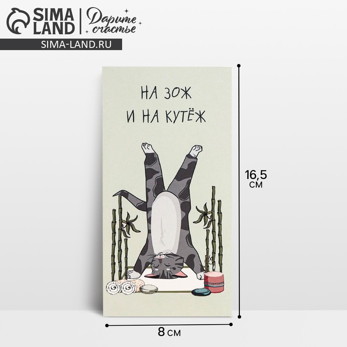 Конверт для денег «На ЗОЖ и кутеж», кот, 16,5 × 8 см - Фото 1