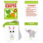 Набор раздаточных карточек №3 «Изучаем базовые темы», 3+ - Фото 4