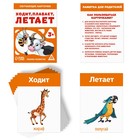 Набор раздаточных карточек №3 «Изучаем базовые темы», 3+ - Фото 5