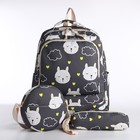 Рюкзак школьный на молнии, сумка, косметичка, цвет серый - фото 11947225
