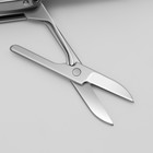 Кусачки-книпсер маникюрные, 4 в 1, многофункциональные, 6 см, цвет серебристый - Фото 5