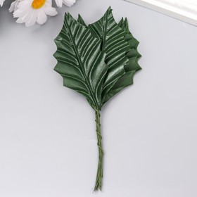 Декор для творчества "Листья тёмно-зелёные " набор 10 шт  9х4,5 см