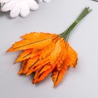 Декор для творчества "Листья клёна розовые с блеском" набор 10 шт  9х3,5 см (комплект 12 шт) - фото 21576331