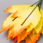 Декор для творчества "Листья клёна жёлто-розовые с блеском" набор 10 шт  9х3,5 см - Фото 3