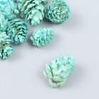 Декор для творчества "Шишка сосновая мятная" размер 2-4 см (комплект 8 шт) - фото 21576370