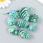 Декор для творчества "Шишка сосновая мятная" размер 2-4 см (комплект 8 шт) - фото 21576371