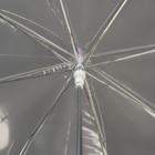 Зонт - трость полуавтоматический «Sea», 8 спиц, R = 47 см, цвет МИКС - Фото 4