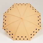 Зонт - трость полуавтоматический «Stick», 8 спиц, R = 47 см, цвет МИКС - Фото 7