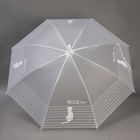 Зонт - трость полуавтоматический «Nice», 8 спиц, R = 47 см, цвет МИКС - Фото 7