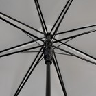Зонт - трость полуавтоматический «Love», 8 спиц, R = 47 см, цвет МИКС - Фото 3