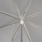 Зонт - трость полуавтоматический «Dream», 8 спиц, R = 47 см, цвет МИКС - Фото 4