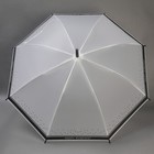 Зонт - трость полуавтоматический «Dream», 8 спиц, R = 47 см, цвет МИКС - Фото 7