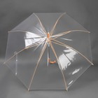 Зонт - трость полуавтоматический «Неон», 8 спиц, R = 47 см, цвет МИКС/прозрачный - Фото 7