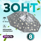 Зонт - трость полуавтоматический «Ромашка», 8 спиц, R = 45 см, цвет прозрачный/белый - фото 297131053