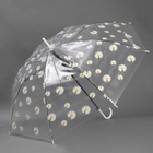 Зонт - трость полуавтоматический «Ромашка», 8 спиц, R = 45/55 см, D = 110 см, цвет прозрачный/белый - фото 11947566