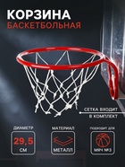 Корзина баскетбольная №3, d=295 мм, с сеткой - Фото 1