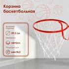 Корзина баскетбольная №3, d=295 мм, с сеткой - Фото 1