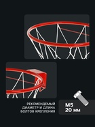 Корзина баскетбольная №5 «Люкс», d=380 мм, с упором и сеткой - Фото 2