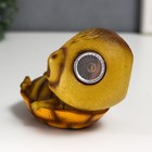 Сувенир полистоун свет "Удивлённая черепашка" от солнечной батареи 9х7,5х11,5 см - фото 21577067