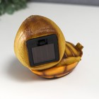 Сувенир полистоун свет "Удивлённая черепашка" от солнечной батареи 9х7,5х11,5 см - фото 21577071