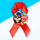 Подарочный набор на выпускной «Выпускник детского сада», кружка и орден - Фото 5