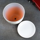 Горшок для цветов «Роспись Венеция», 2.4 л, d=19 см, h=14 см, керамика, с поддоном, белый 7861972