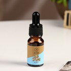 Эфирное масло «Кокос», 10 мл, удобный дозатор, «Богатство Аромата» - Фото 2