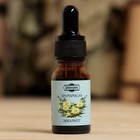 Эфирное масло «Эвкалипт», удобный дозатор, 10 мл, «Добропаровъ» - Фото 2