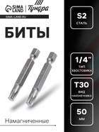 Биты ТУНДРА, намагниченные, сталь S2, T30 х 50 мм, 2 шт. - Фото 1