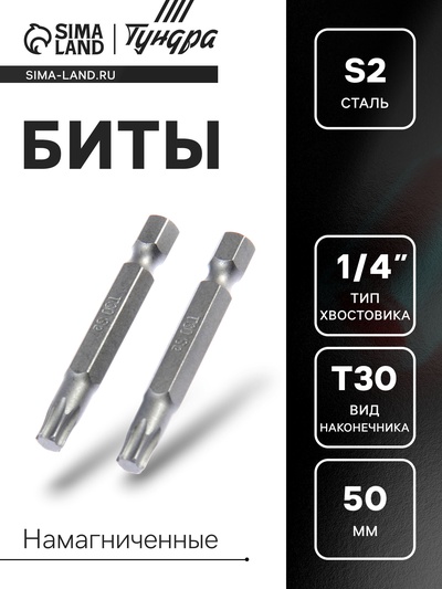 Биты ТУНДРА, намагниченные, сталь S2, T30 х 50 мм, 2 шт.