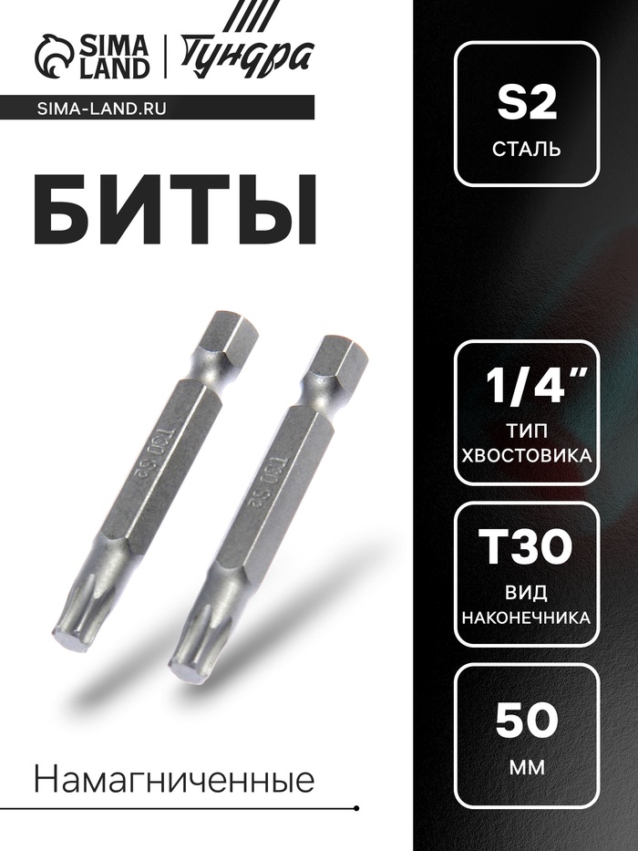 Биты ТУНДРА, намагниченные, сталь S2, T30 х 50 мм, 2 шт. - Фото 1