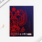 Дневник школьный 1-11 класс, универсальный, 40 л. «Герб» - Фото 8