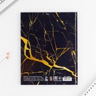 Дневник школьный 1-11 класс универсальный «1 сентября:Мрамор», твердая обложка 7БЦ, глянцевая ламинация, 40 листов - Фото 9