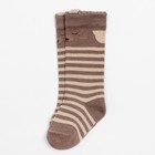 Гольфы Крошка Я «Мишка» 8-10 см, цвет бежевый - фото 41568149