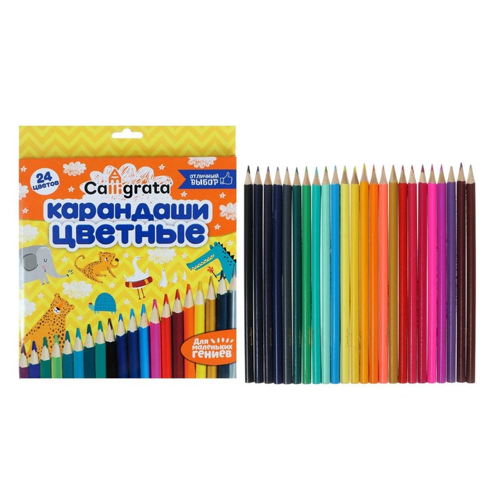 УЦЕНКА Карандаши Calligrata, цветные, 24 цвета, трёхгранные, деревянные - Фото 1
