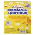 УЦЕНКА Карандаши Calligrata, цветные, 24 цвета, трёхгранные, деревянные - Фото 3