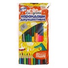 УЦЕНКА Карандаши Calligrata, цветные, 12 штук, 24 цвета, двухсторонние, трёхгранные, деревянные - Фото 9