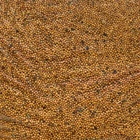 Семена Горчица, Мой Выбор, 1 кг - Фото 3